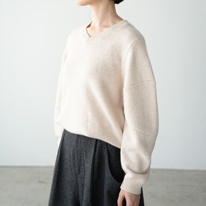 SWITCH SLEEVE V NECK KNIT