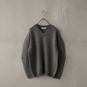 SWITCH SLEEVE V NECK KNIT
